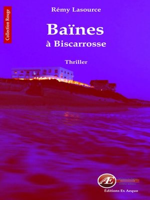 cover image of Les chroniques policières de Biscarrosse--Tome 2